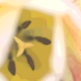 flower05.jpg
