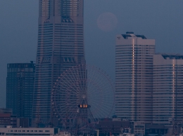mpo09yc-36.jpg
