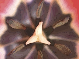 flower06.jpg